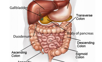 Gastrointestinal Diseases