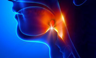 Allergic Respiratory Diseases