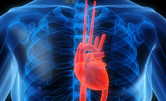 Cardiovascular Diseases