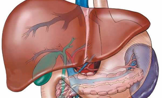 Liver diseases