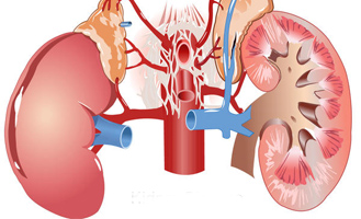 Kidney Diseases